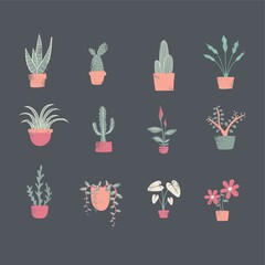 Canvas Print - Collection of decorative plants