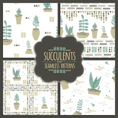 Canvas Print - Collection of seamless succulent designs