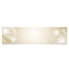 Poster - snowflake web banner