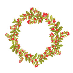 Wall Mural - Decorative vector wreath of cranberries, red berries. Round frame on white background