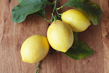 Organic Lemons Hand Picked Off Backyard Tree Sitting On Wooden Table Top