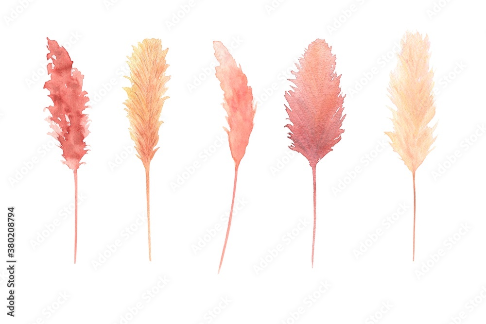 Watercolor bohemian dried leaves set isolated on white background. Warm colors pampas grass, boho wedding theme set. Hand painted. Perfect for autumn season wedding invitation. - obrazy, fototapety, plakaty 