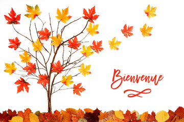 Wall Mural - Branches Building Tree With Bright Colorful Leaf Decoration. Red And Yellow Leaves Flying Away Due To Wind. French Text Bienvenue Means Welcome. White Background