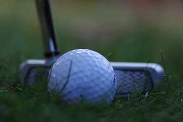 Poster - Selective focus shot of golf stick and ball on green grass