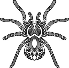 Poster - Intricate spider design