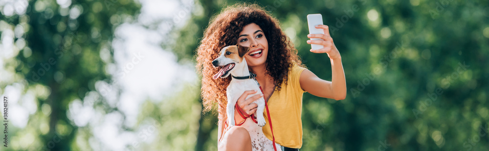 horizontal concept of excited woman taking selfie on mobile phone with jack russell terrier dog - obrazy, fototapety, plakaty 