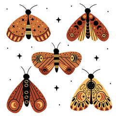 Wall Mural - set of isolated magic moths and butterflies