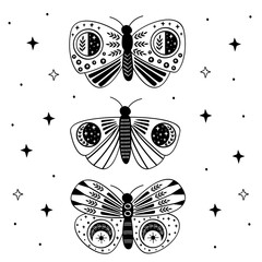 Wall Mural - poster with black mystic moths and butterflies