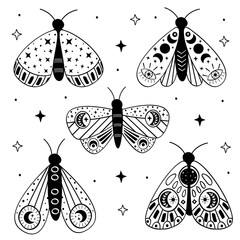 Wall Mural - set of isolated black magic moths and butterflies