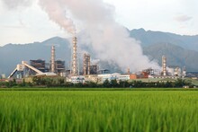 View Of A Chemical Factory With Smoking Chimneys In The Middle Of A Green Rice Field In The Early Morning ~ Factory Pipes Polluting Air On A Silent Morning, A Serious Environmental Issue