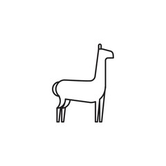 Poster - Alpaca