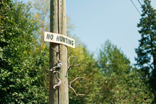 Ironic No Hunting Sign