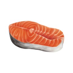 Canvas Print - Salmon steak