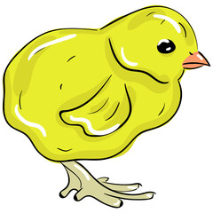 Sticker - Chick 