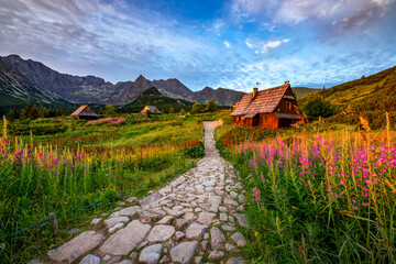 Wall Mural - Beautiful summer sunrise in the mountains - Hala Gasienicowa in Poland - Tatras