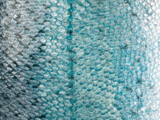 fish scale texture close-up. copy space.