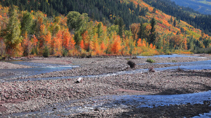 Wall Mural - Scenic Crystal river landscape in rural Colorado in autumn time