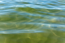 Smooth Green Water. Clear Water Surface. Background Water.