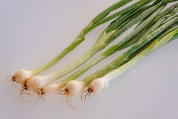 appetizing images of organic fresh green onions