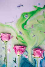 Three Pink Roses Immersed In Colorful Milk