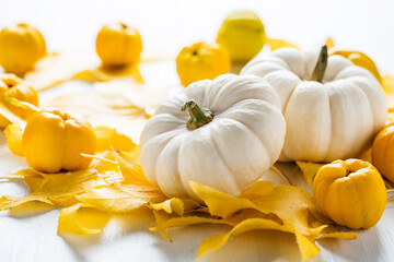 Wall Mural - Autumn still life with colorful leaves, autumn deco fruits and white pumpkins