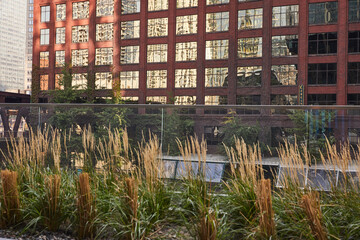 Green and glass environmentally friendly urban architecture for sustainability in city center downtown.