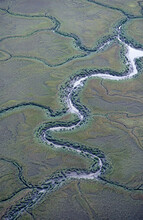 Aerial Photograph Of A Spartina Marsh Estuarine Wetland Tidal Influence