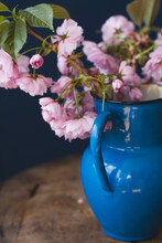 Pink Cherry Blossom In A Vintage Jug