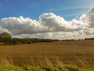 field and sky