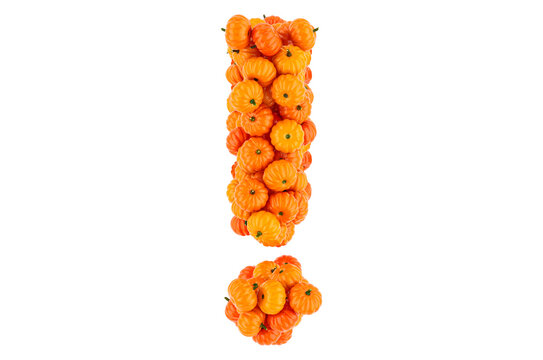 Exclamation point from Pumpkins. 3D rendering