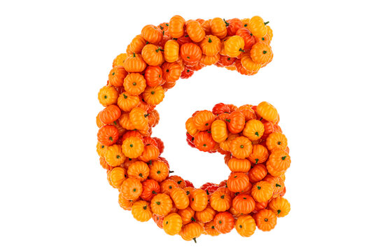 Letter G from Pumpkins. 3D rendering