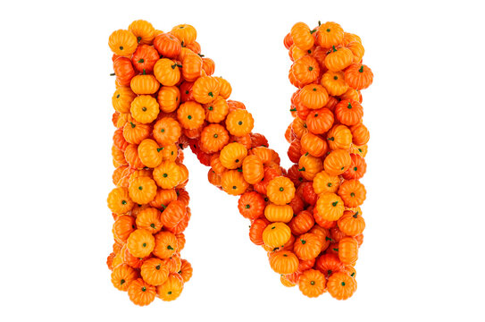 Letter N from Pumpkins. 3D rendering
