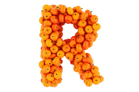 Letter R from Pumpkins. 3D rendering