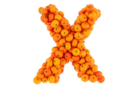 Letter X from Pumpkins. 3D rendering