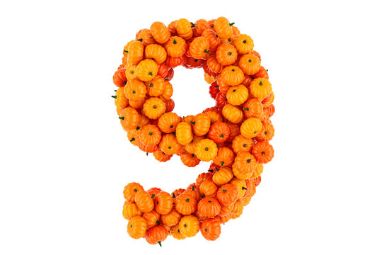 Number 9 from Pumpkins. 3D rendering