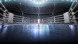 3D boxer arena with viewers. Empty boxing ring under lights. Full tribune. Wide angle. 3D rendering