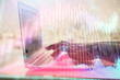 © peshkova - Double exposure of woman hands typing on computer and forex chart hologram drawing. Stock market invest concept.