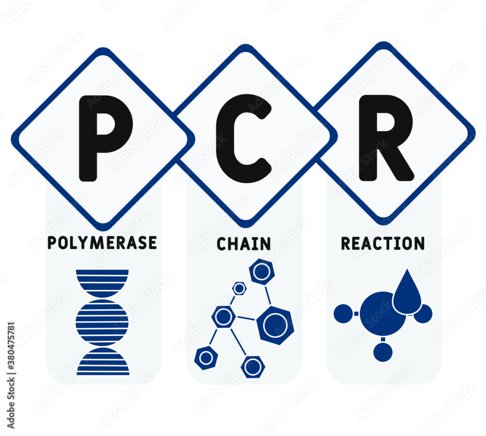 PCR - Polymerase Chain Reaction acronym, medical concept background ...