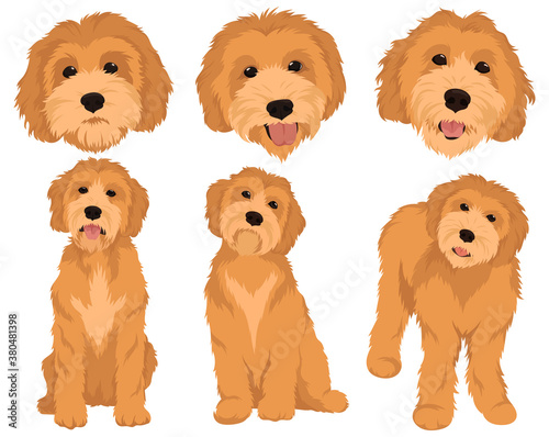Cuadros en Lienzo set cartoon dog breeds goldendoodle collection colorful portraits goldendoodle d