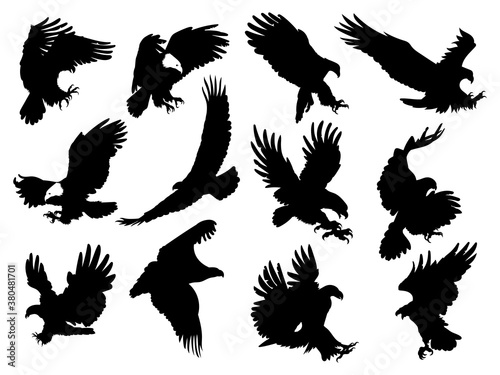 Fotografía set silhouette eagles illustration birds prey