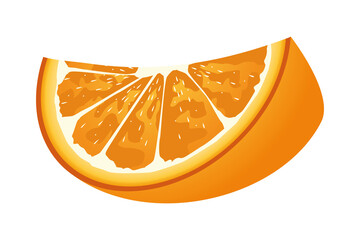 Wall Mural - fresh orange citrus fruit icon