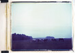© ALICIA BOCK PHOTOGRAPHY/Stocksy - Horses In An Autumn Field Photographed On Expired Polaroid Film