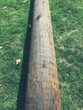 © Rialto Images/Stocksy - Wood utility pole on grass
