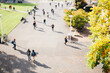 © Rob and Julia Campbell/Stocksy - High view of people - students - walking on college campus