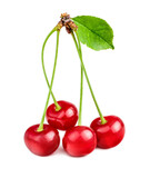 Fototapeta  - Cherries isolated on white background