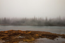 Foggy Lake In Mount Rainer National Park Washington
