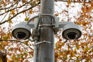 Close up of two security cameras on a pole with an autumnal tree in the background