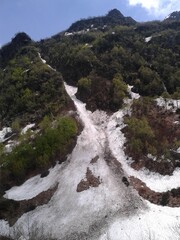 snow capret in mountain