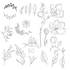  Big set of herbal elements in doodle style.Line art flowers mognol,roses,peonies,vet and olive tree,olives,buds,leaves.Vector illustration isolated on white.For posters, print, postcards, book picture