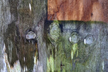 Weathered Old Wooden Panel